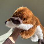 Игрушка - Утконес  с доставкой по Кирову - Интернет-магазин Дари цветы