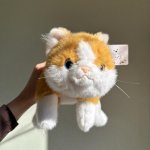 Игрушка -Котик с доставкой по Кирову - Интернет-магазин Дари цветы