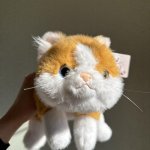 Игрушка -Котик с доставкой по Кирову - Интернет-магазин Дари цветы