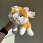 Игрушка -Котик с доставкой по Кирову - Интернет-магазин Дари цветы