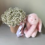 Комбо «коробочка гипсофилы+розовый зайка» с доставкой по Кирову - Интернет-магазин Дари цветы