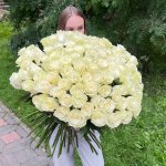 Букет "101 белая роза на ленте" с доставкой по Кирову - Интернет-магазин Дари цветы